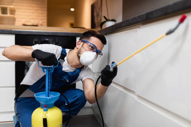 Best Ant Control Services  in Keshore, LA