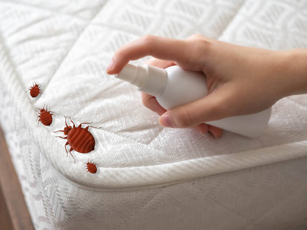 Best Residential Pest Control  in Keshore, LA