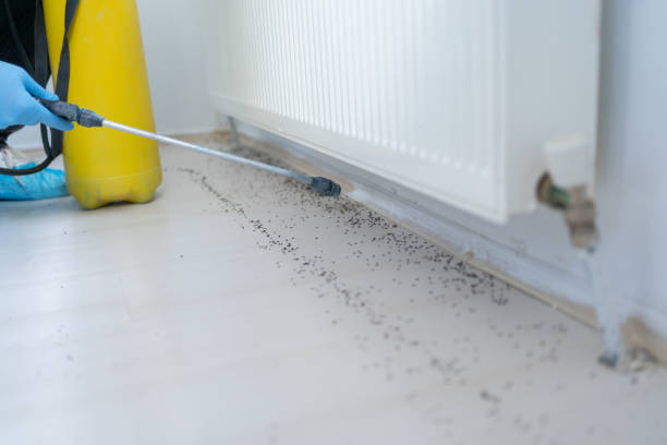 Pest Control for Restaurants in Lakeshore, LA